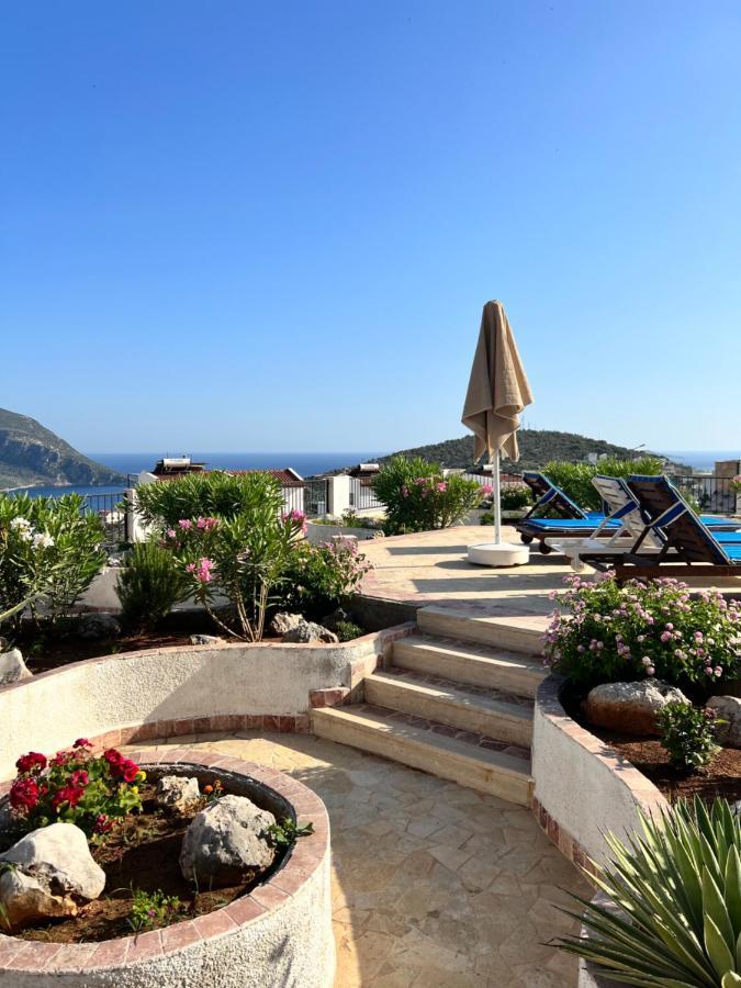 Viola - Tatil Evi