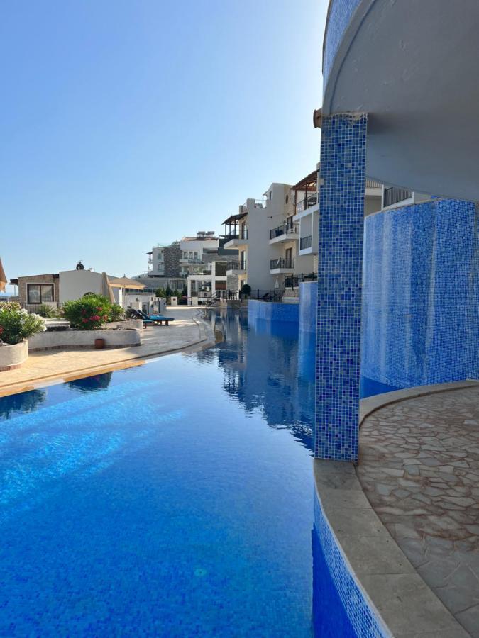 Viola - Tatil Evi Kalkan